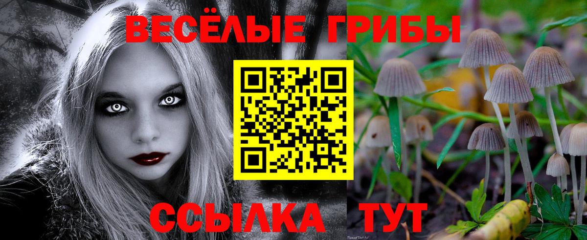 Самара  как найти закладки  Вход с VPN  Псилоцибиновые грибы прущие грибы  Галлюциногенные грибы Psilocybe 
